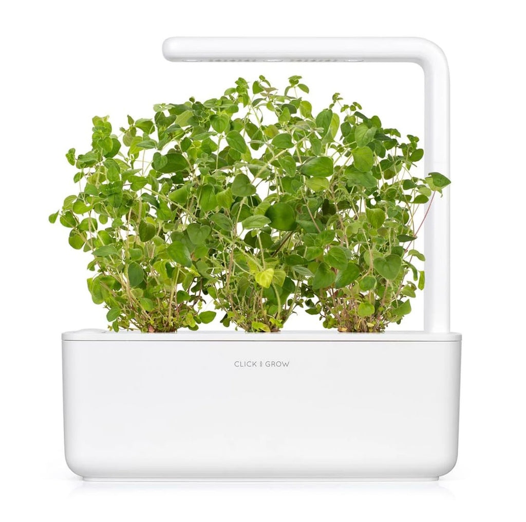 Plant Pods, 3-Pack