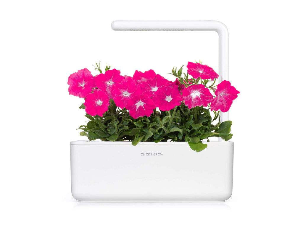 Plant Pods, 3-Pack